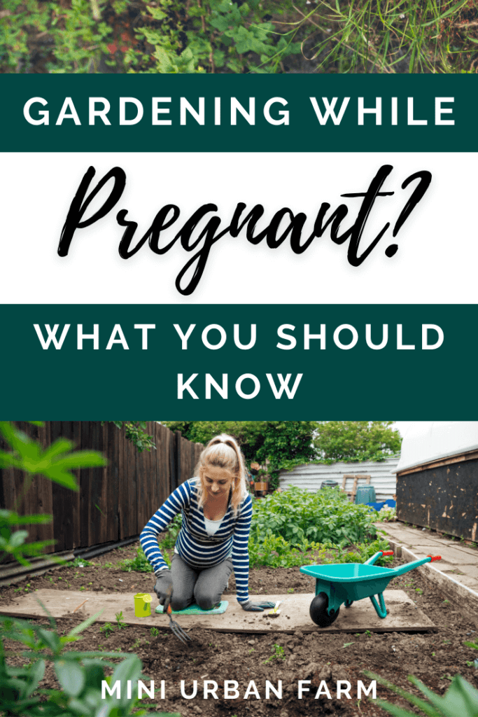 Gardening - Pregnancy - Can I Pull Weeds While Pregnant - Mini Urban Farm