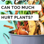 Composting - Can too much compost hurt plants? - Urban Gardening