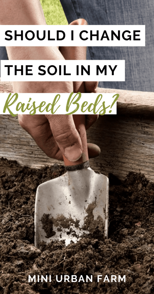 Gardening - Raised Beds - Garden Soil