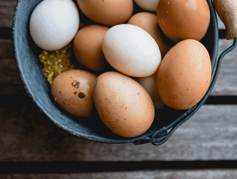 Raising Chickens for Eggs - How Many Chickens do I Need? Urban Homesteading - miniurbanfarm.com