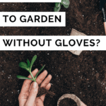 Gardening - Is it Safe to Garden Without Gloves? - Garden Ideas for Small Spaces - Urban Gardening - Mini Urban Farm