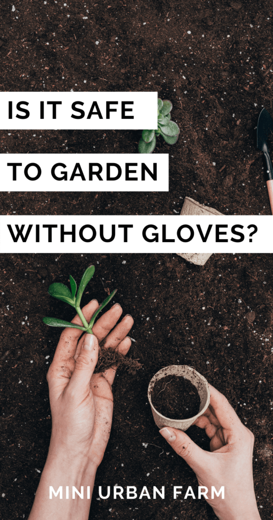 Gardening - Is it Safe to Garden Without Gloves? - Garden Ideas for Small Spaces - Urban Gardening - Mini Urban Farm
