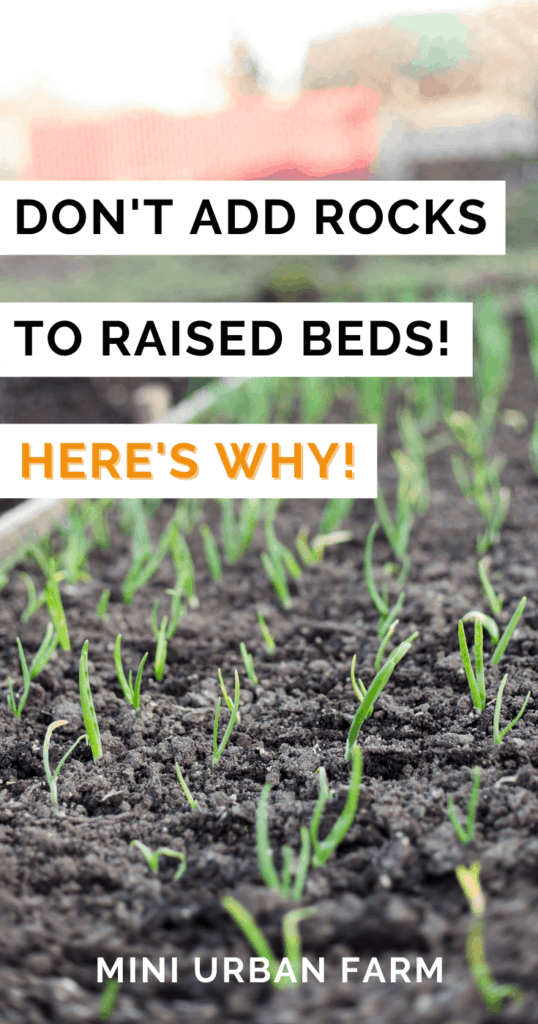 Raised Bed Gardening - Should I add rocks to the bottom of my raised garden beds? - Gardening Tips- Garden Ideas - Mini Urban Farm