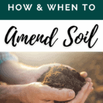 Gardening Soil - When should you amend soil?