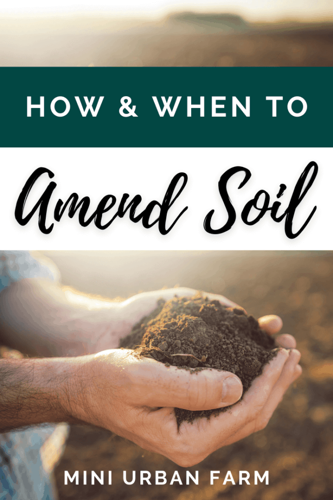 Gardening Soil - When should you amend soil?