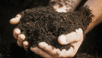 Gardening Soil - When should you amend soil? Mini Urban Farm