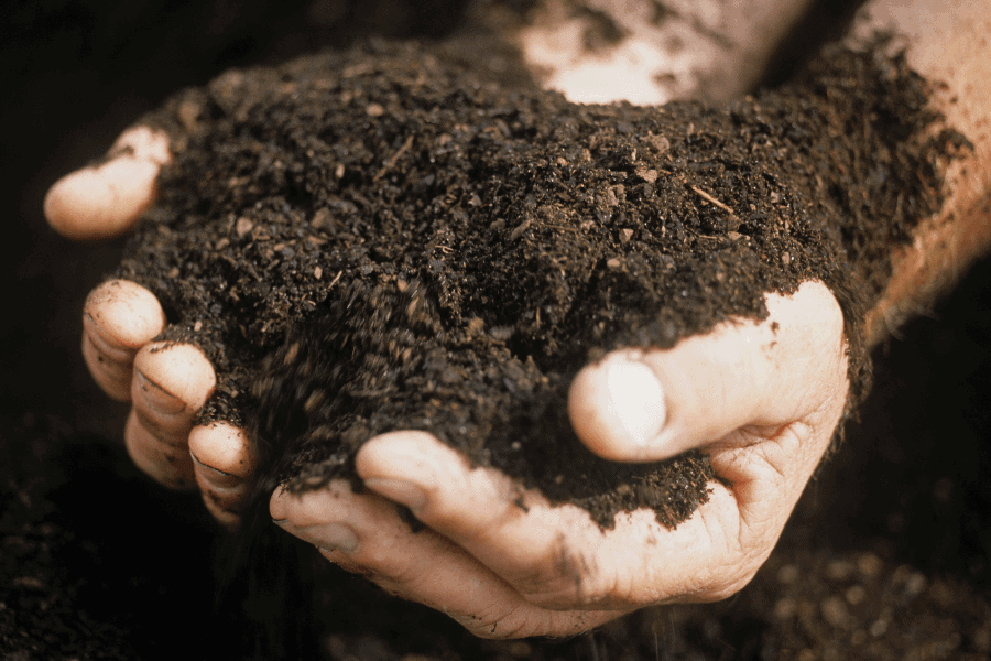 Gardening Soil - When should you amend soil? Mini Urban Farm