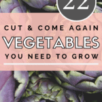 Vegetable Garden - 22 Cut and Come Again Vegetables You Need to Grow - Urban Garden - Mini Urban Farm