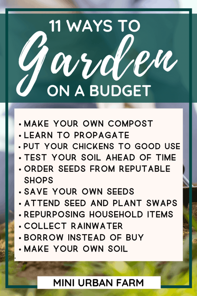 Gardening - 11 ways to garden on a budget - Urban Garden - Vegetable Garden