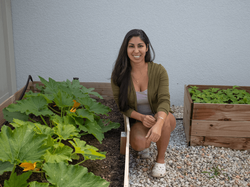 Summer Garden - 14 Drought Tolerant Vegetables to Plant This Summer - Urban Gardening - Mini Urban Farm