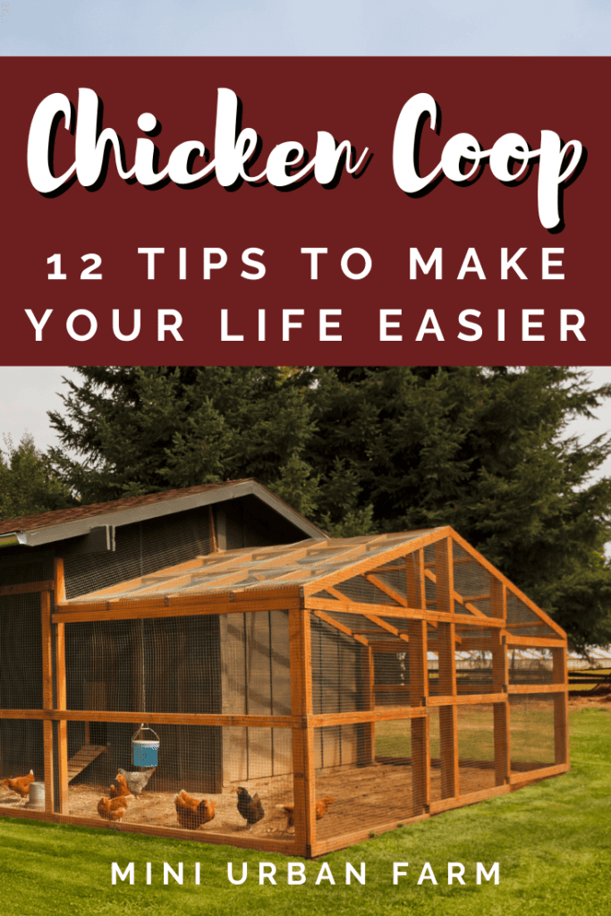 Chicken Coop Design Tips - 12 Practical Chicken Coop Design Tips to Make Your Life Easier - Raising Chickens