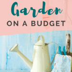 Gardening - 11 ways to garden on a budget - Urban Garden - Vegetable Garden