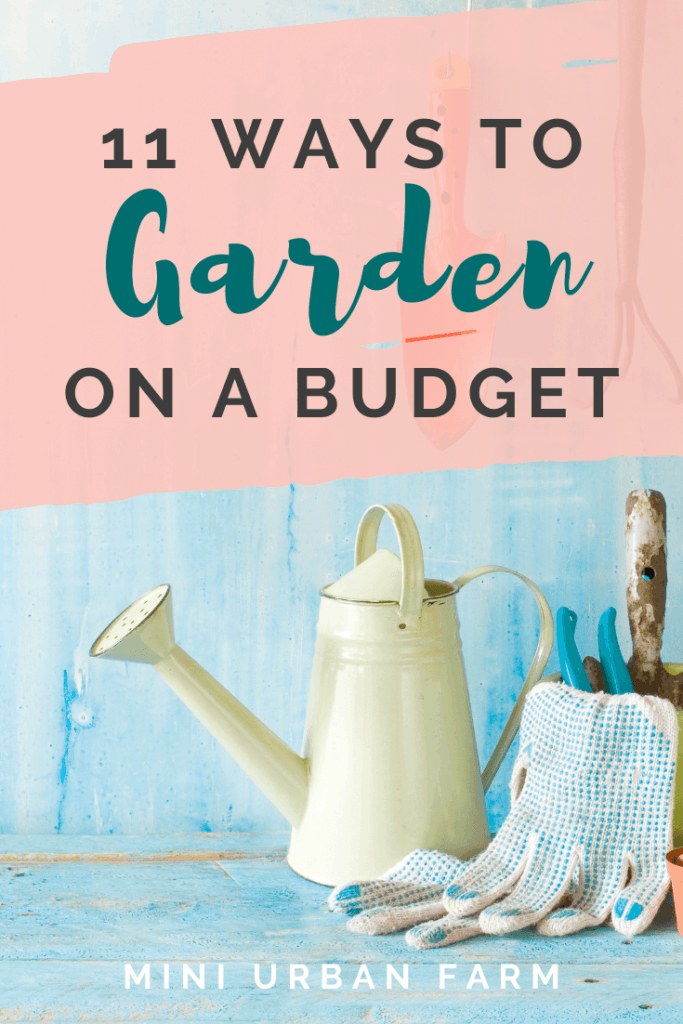 Gardening - 11 ways to garden on a budget - Urban Garden - Vegetable Garden