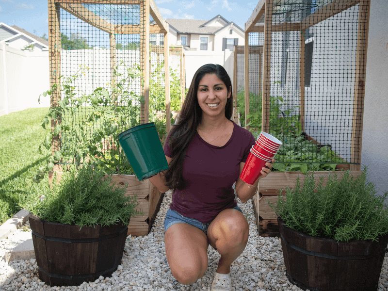 garden on a budget - urban gardening - Mini Urban Farm