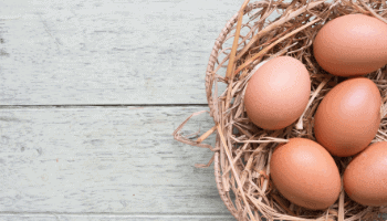 Ways to Use Extra Eggs - Chickens for Eggs - Backyard Chicken Keeping - Mini Urban Farm