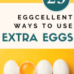best ways to use extra eggs - Chickens for eggs - Mini Urban Farm