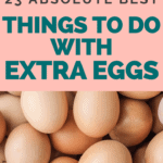best ways to use extra eggs - Chickens for eggs - Mini Urban Farm (4)