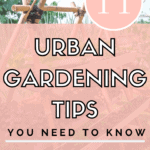 Urban Gardening Tips - Mini Urban Farm