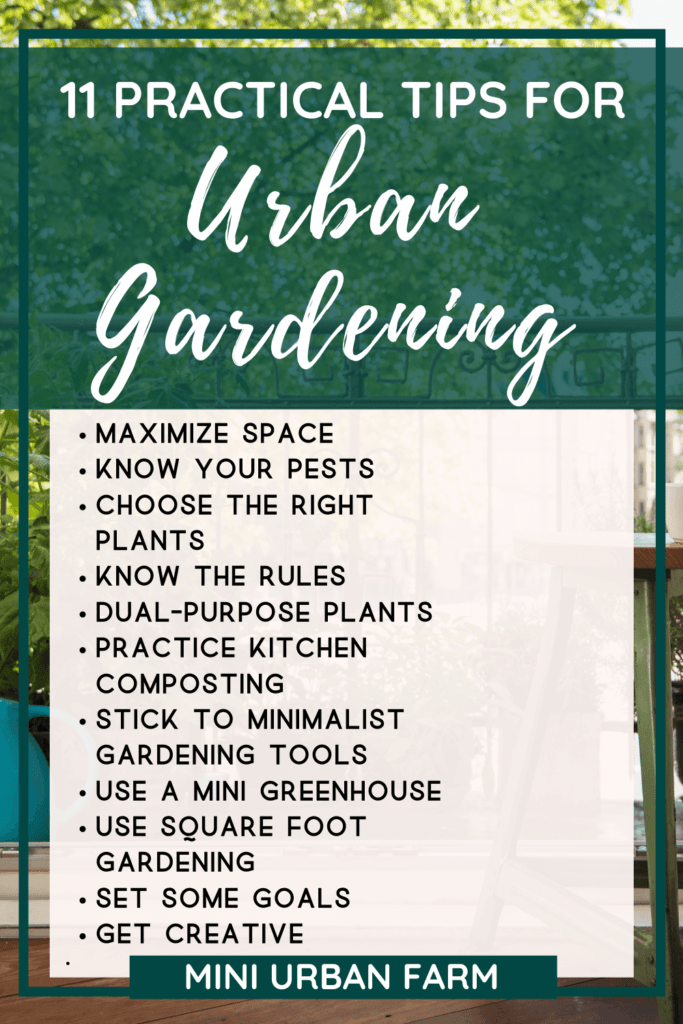 Urban Gardening Tips - Mini Urban Farm
