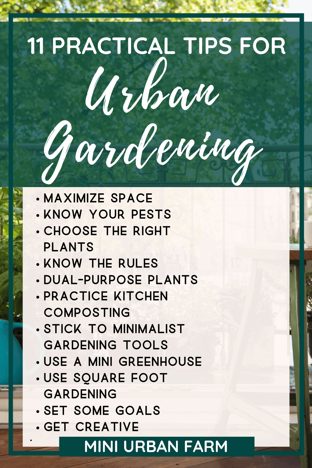 11 Urban Gardening Tips You Need To Know - Mini Urban Farm