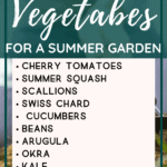 Vegetable Gardening - 10 Fast Growing Summer Vegetables You Need to Grow - Urban Garden - Mini Urban Farm