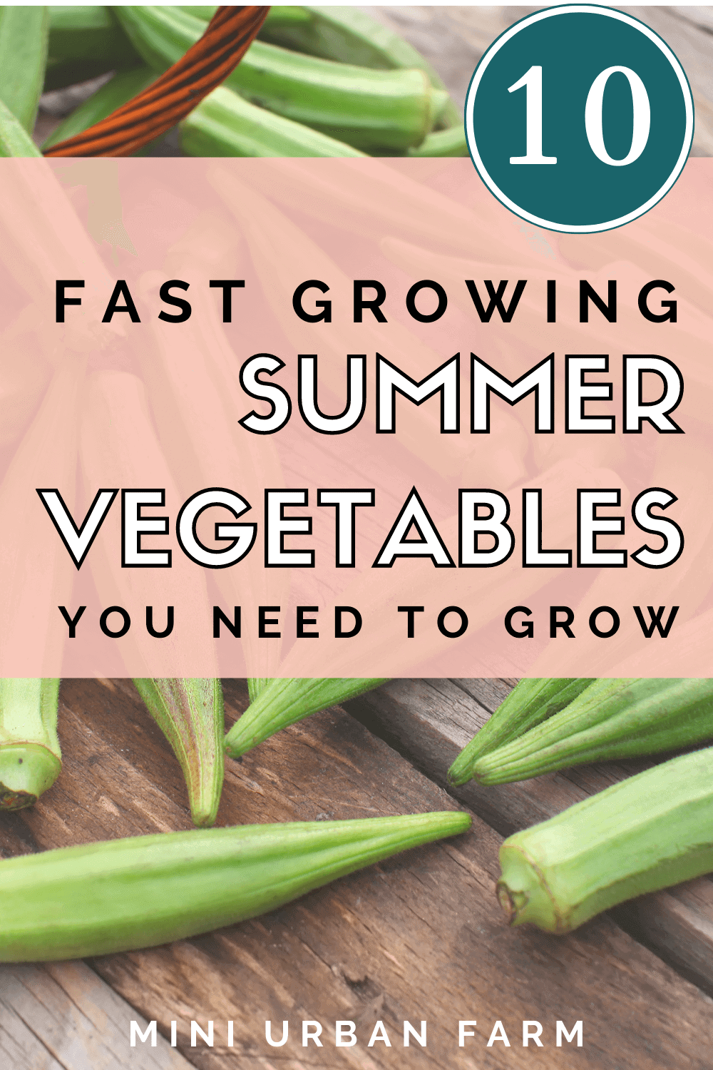 10 Fast Growing Summer Vegetables For a Quick Harvest Mini Urban Farm