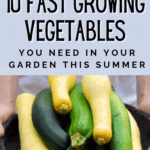 Vegetable Gardening - 10 Fast Growing Summer Vegetables You Need to Grow - Urban Garden - Mini Urban Farm