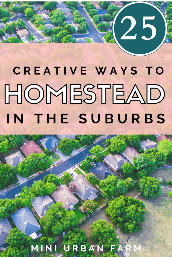 25 Creative Ways to Homestead in the Suburbs - Urban Homesteading - Urban Farming - Mini Urban Farm