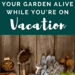 Getting Your Garden Ready for Vacation - Vacation Garden Prep - Mini Urban Farm