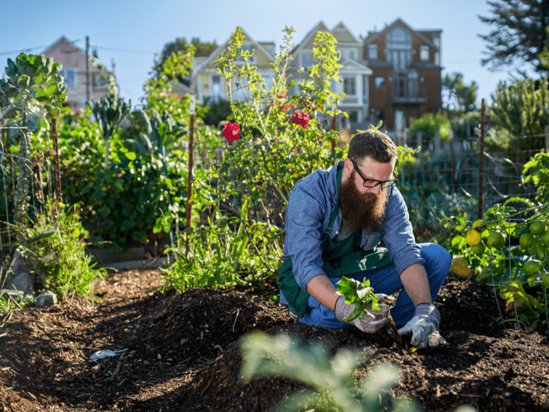 Urban gardening tips for a greener lifestyle