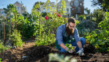 Gardening - Urban Gardening for Beginners - Vegetable Gardening - Mini Urban Farm
