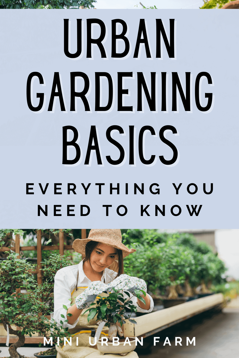 Urban Gardening for Beginners - Everything You Need to Know - Mini ...