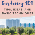 Gardening - Urban Gardening for Beginners - Vegetable Gardening - Mini Urban Farm