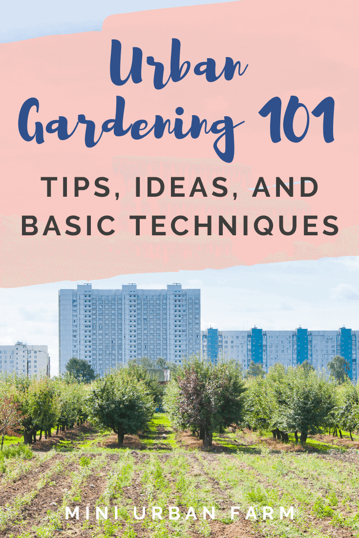 Urban Gardening for Beginners - Everything You Need to Know - Mini ...