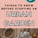 Gardening - Urban Gardening for Beginners - Vegetable Gardening - Mini Urban Farm