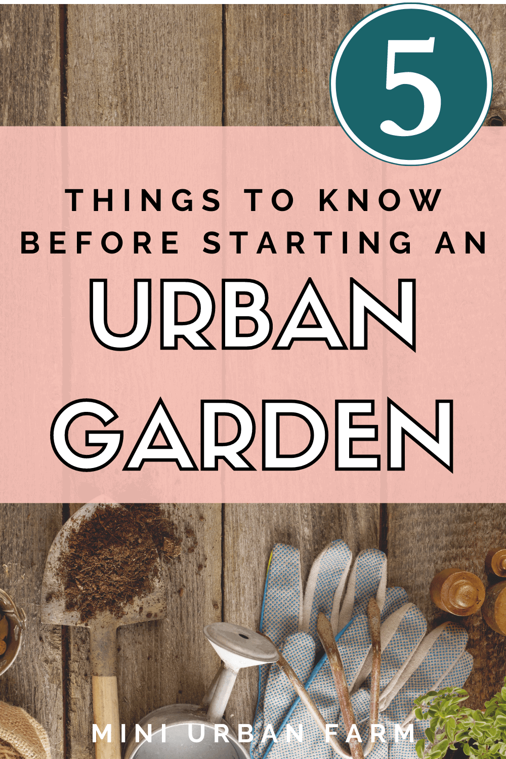 Urban Gardening for Beginners - Everything You Need to Know - Mini ...