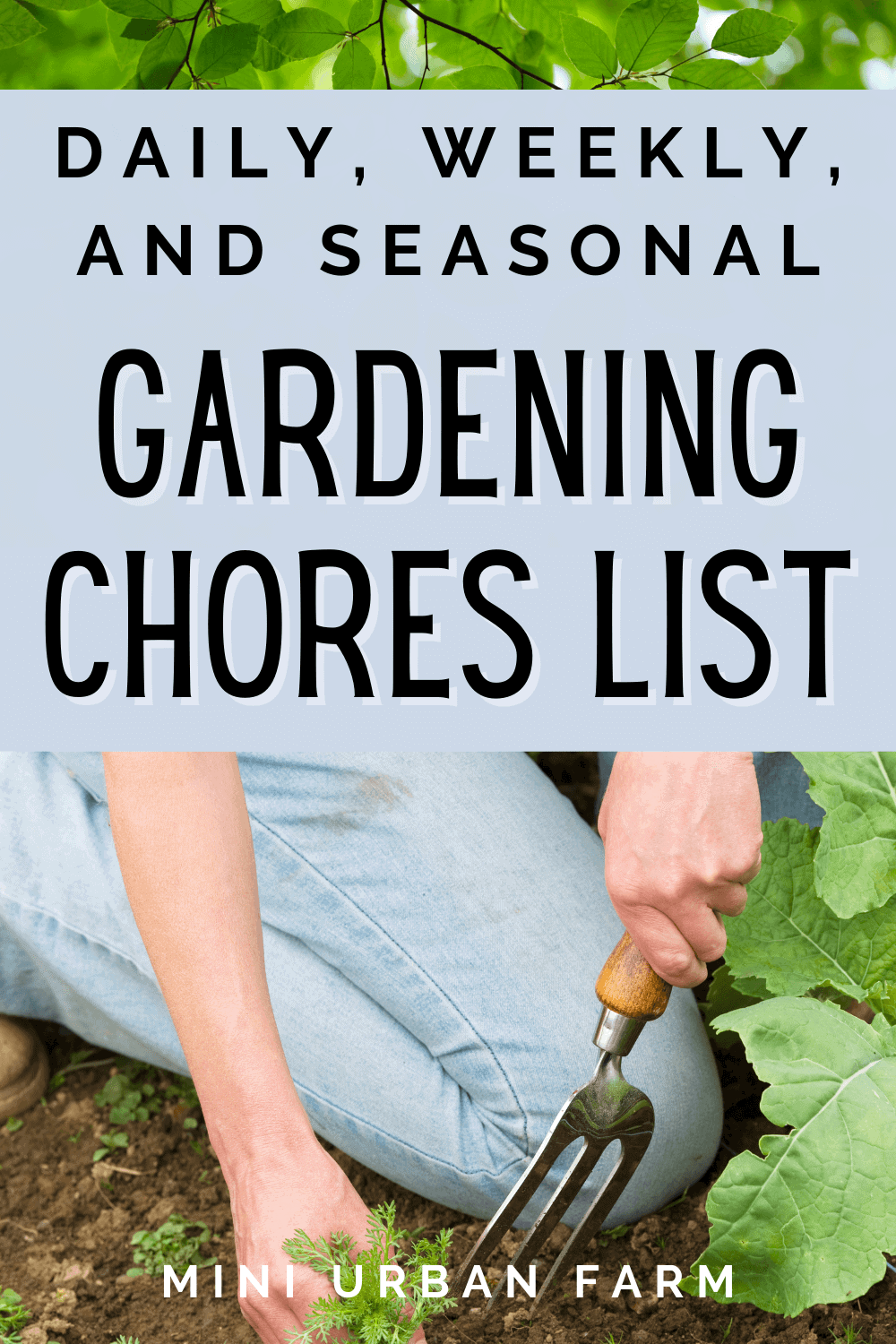 Daily And Weekly Garden Chores The Ultimate Guide Mini Urban Farm