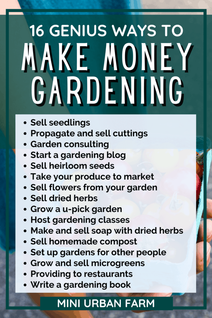 ways to make money gardening - garden income - urban gardening - mini urban farm (1)