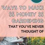 ways to make money gardening - garden income - urban gardening - mini urban farm (1)