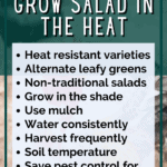 tips to grow salad in the summer - grow salad in the heat - summer gardening - Mini Urban Farm