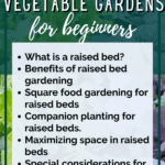 Raised bed vegetable gardening for beginners - urban gardening - mini urban farm (4)