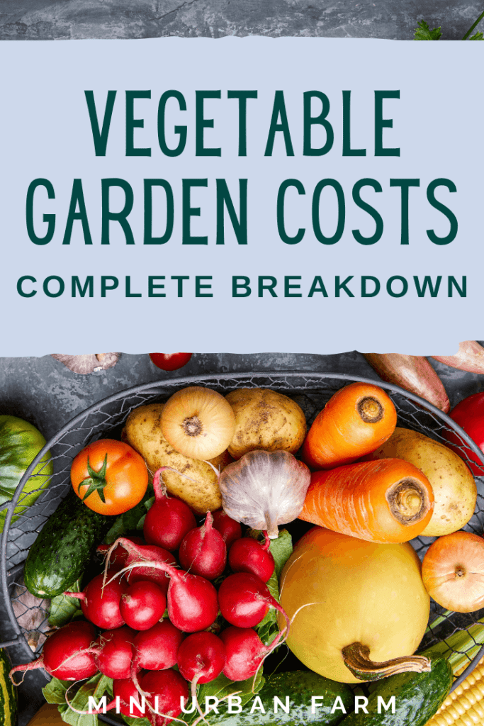 How Much Does A Vegetable Garden Cost? - Mini Urban Farm