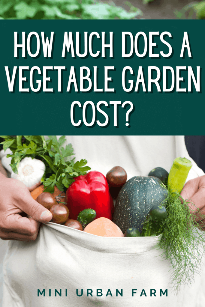 Urban Gardening - how much does a vegetable garden cost - vegetable garden set up costs