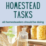 Daily Homestead Tasks - Urban Homestead - Homestead Chores - Mini Urban Farm (2)