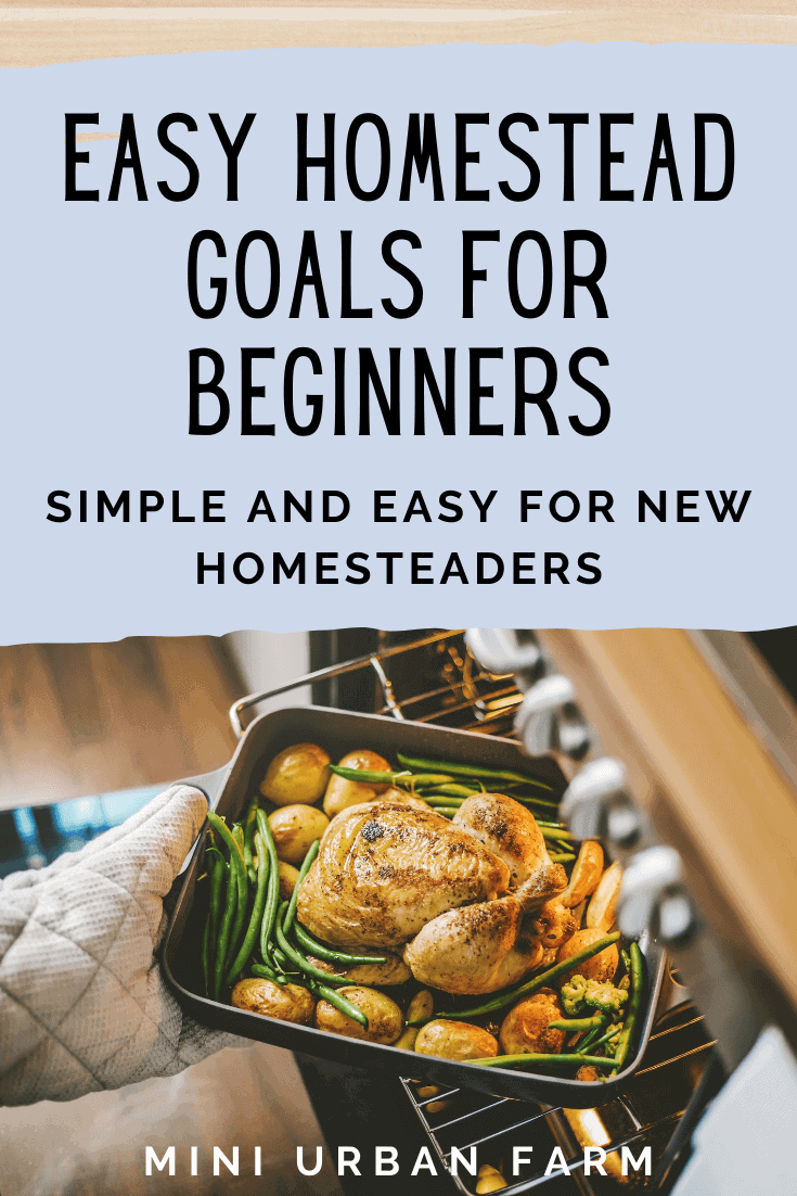 12 Easy Homesteading Goals for Beginners Mini Urban Farm