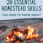 28 Forgotten Homesteading Skill Every Homesteader Needs - Urban Homesteading - Homestead in the Suburbs - Mini Urban Farm