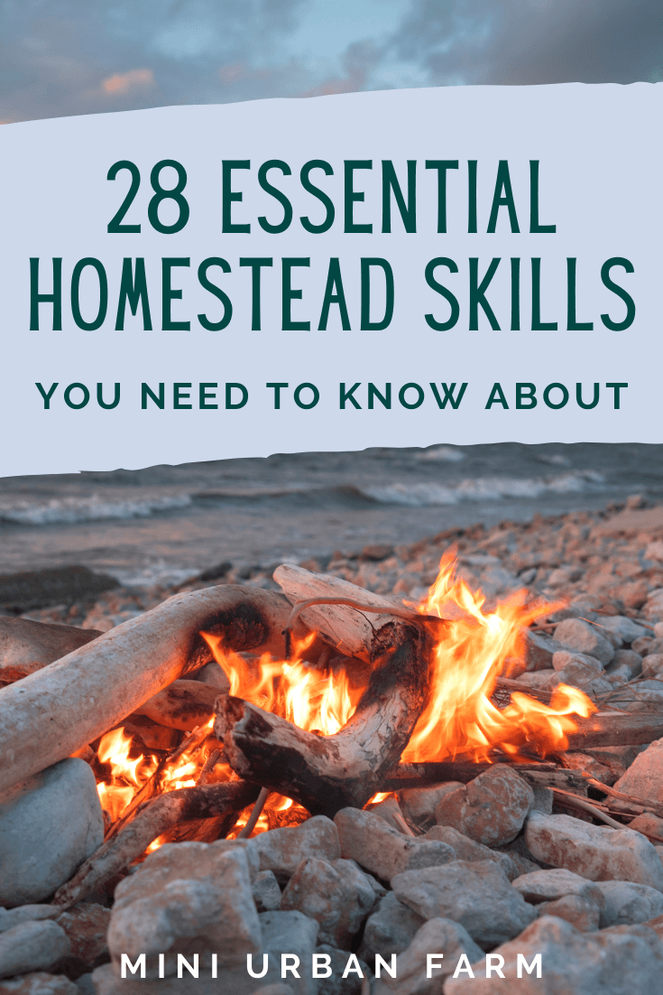 28 Forgotten Homesteading Skills That All Homesteaders Need - Mini ...