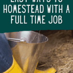 How to Homestead With a Full Time Job - Urban Homesteading - Can I Homestead With a Full Time Job? - Mini Urban Farm