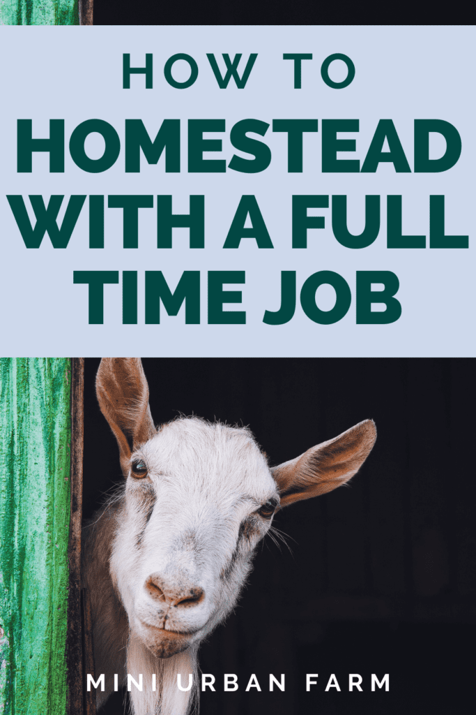 How to Homestead With a Full Time Job - Urban Homesteading - Can I Homestead With a Full Time Job? - Mini Urban Farm