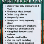 12 Urban Chicken Keeping Tips Every Urban Homesteader Should Know - Backyard Chickens - Mini Urban Farm